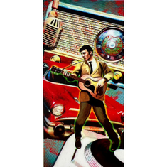 Hire ROCK AND ROLL (ELVIS) Backdrop Hire 1.2mW x 2.4mH